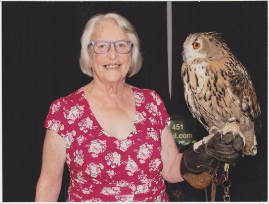 Ann and owl, 2017