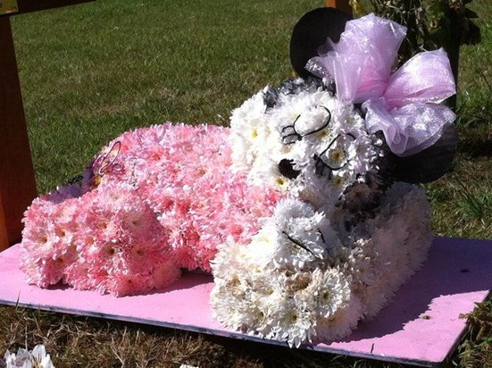 Minnie Mouse Flowers <3