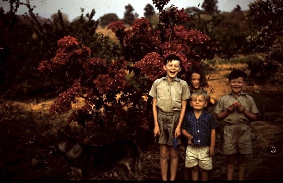 Conor with his older siblings and Shadow - Peach Grove, Umtali, Rhodesia