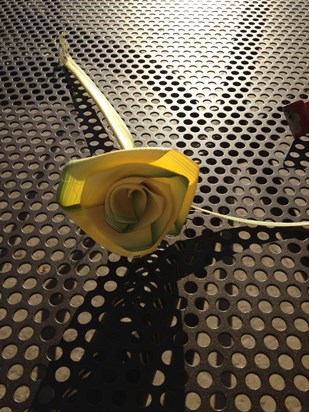 A rose for you mum