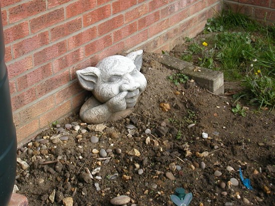 The "snot-picking" gargoyle...travelled from Melbourne to oversee the veggie patch