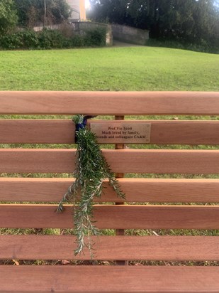 Dad’s bench in Sydney Gardens 