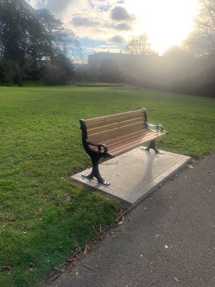 Sydney Gardens Dad’s bench in beautiful sunlight 14.01.2024