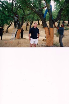 Ray harvesting a Cork Tree in Alentejo, Portugal, 1999! Long Friendship!