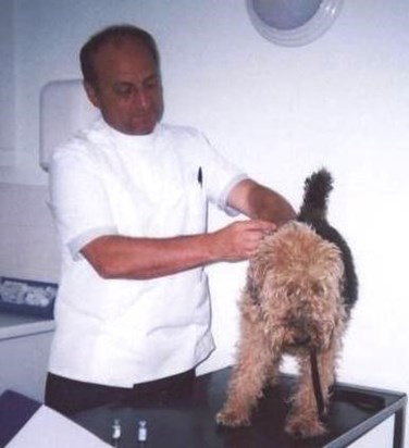 Gifted Veterinary Surgeon