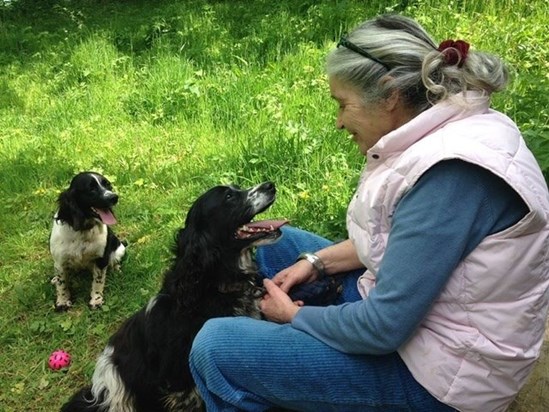 Walking in the paddock with Bramble and Willow