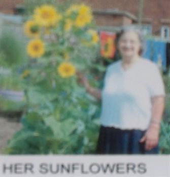 0live and her1sunflower she grew