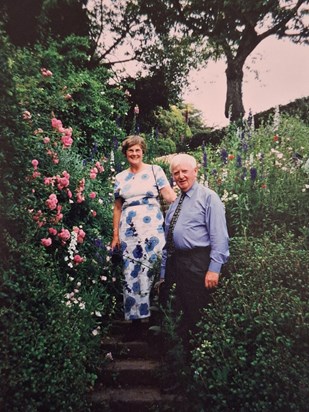 2 fragrant roses in the rose garden