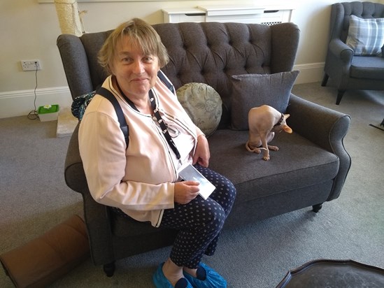 Mary at the Cat Café in Liverpool, 9 Aug 2018