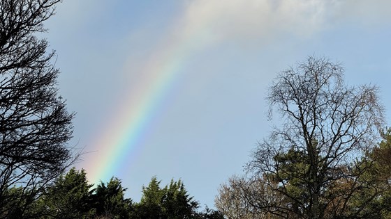 Rainbow at the exit from the crem today