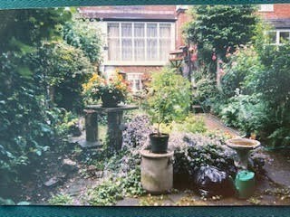 Mum's garden