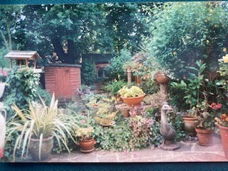 Mum's garden with stone duck