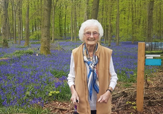 A trip to the bluebell woods.