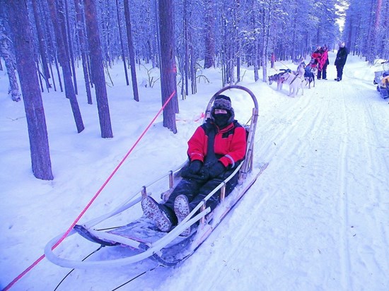 Thelma on a dog sled in Lapland, 2019