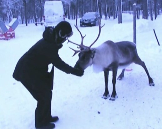Thelma feeding a reindeer in Lapland (2019)