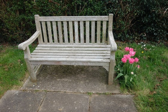 our bench with "our" tulips