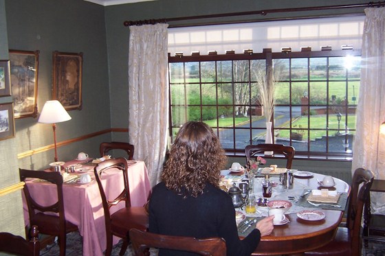 a curly person has already settled down for breakfast ... (2006 Ireland)