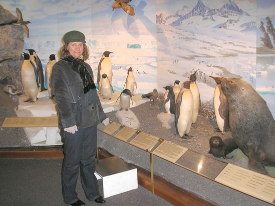 Oslo, December 2007,  Thelma with some stuffed penguins in a museum