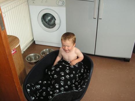 Declan in the dogs bed