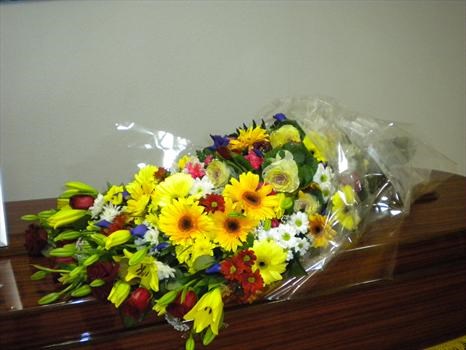 Flowers from the Family