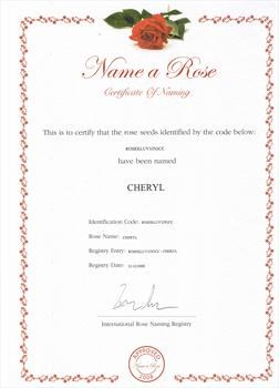 CHERYL NAMED IN A ROSE