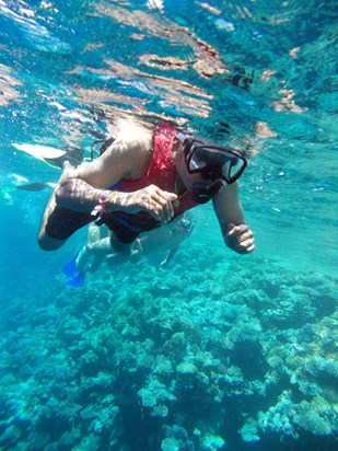 Snorkelling in Sharm el Sheikh