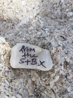Davids pebble in Florida by Clare