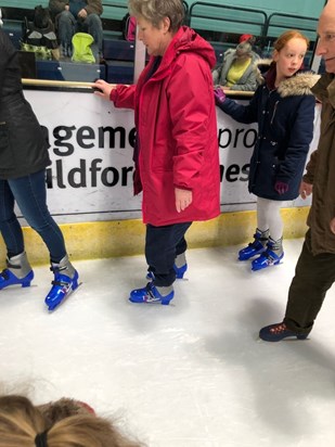 Ice skating. twins Birthdau Geb 14 2018