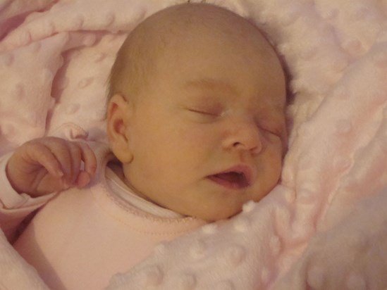 Our Beautiful Baby Girl x 