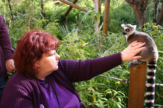 Laura with the Lemurs at Colchester Zoo on her Willow Special Day