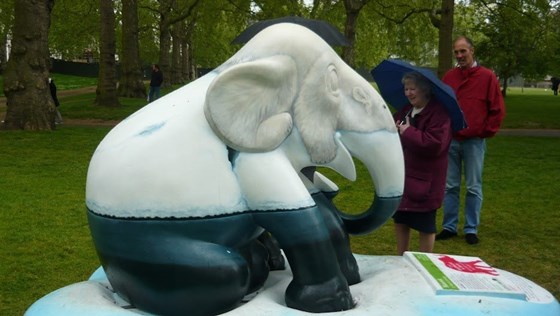 2010   Elephant Parade   Mum & Andy1