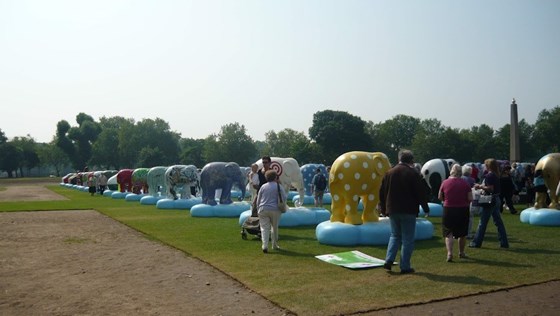 2010   Elephant Parade   Assembled Elephants