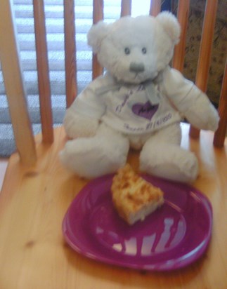 Bear I got from you to daddy at the teddy bears picnic