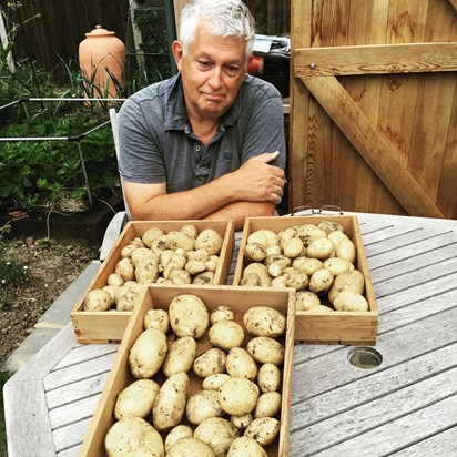 First potato crop