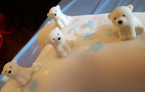 Polar Bears ready for cake