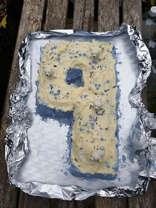 Mom made my cake... look at the polar bears...Good job mom x x