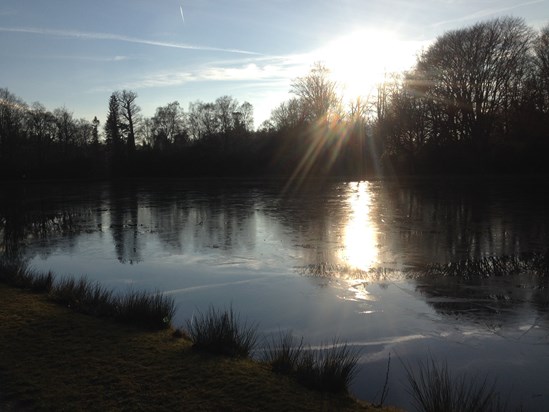 The winter sun over Cow Pond....