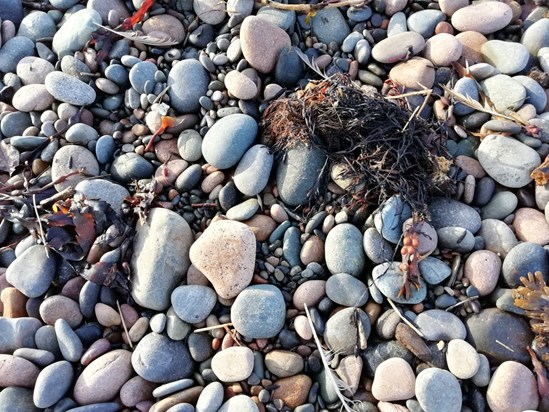 Silecroft Beach