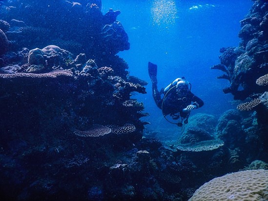Me diving at the Great barrier reef 