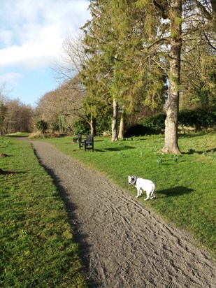 Maggie at Corbridge.