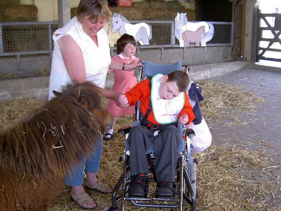 Outing to the Miniature Pony Centre 2004