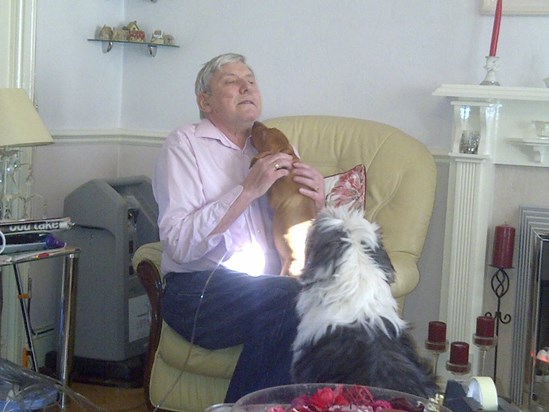 Dads first meeting with our new puppy Amber by Barry & Donna