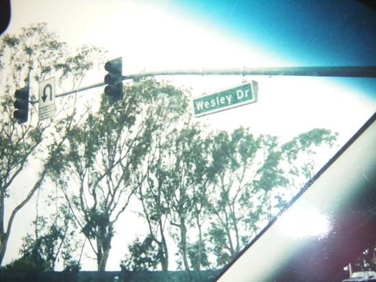 Wesley Jr. travels, he located a Wesley Drive while on vacation .