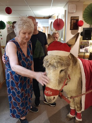 With Charlie the Donkey Dec 2022