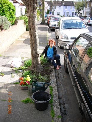 Gardening, 2006.