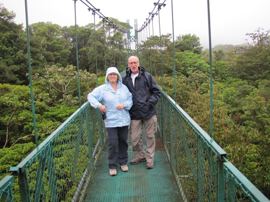 So proud for crossing this skyline (swinging!) bridge in the tree canopy.