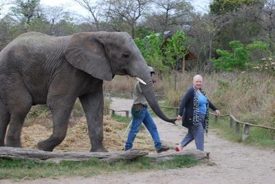 Mum & elephant