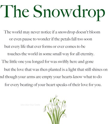 snowdrop