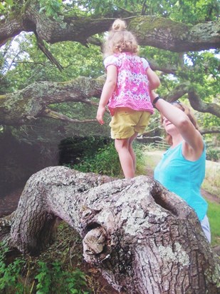 Helping Lissy climb the dragon tree, 2014