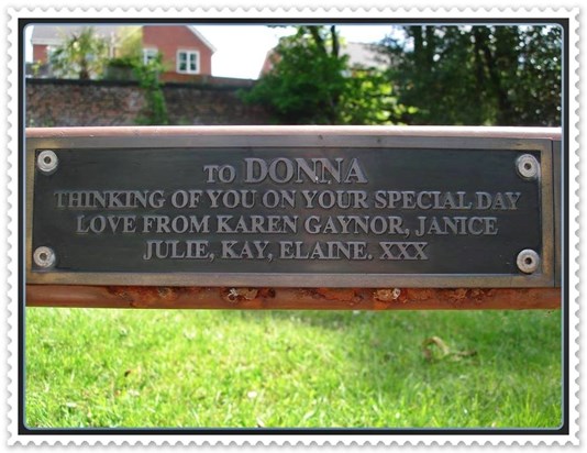 Donna's Bench